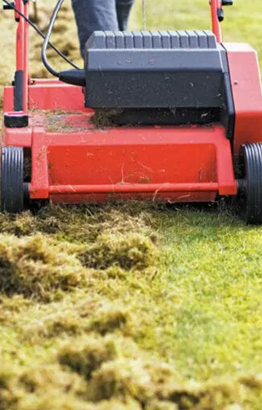 02-dethatching