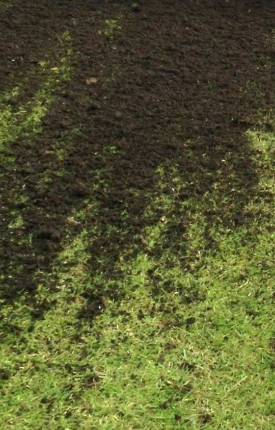 06-topdressing Lawn Topdressing service - Rockingham Lawn Renovations