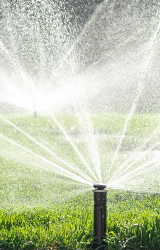 07-watering Lawn reticulation - Rockingham Lawn Renovations